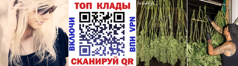 Где можно купить наркотики Вилюйск Галлюциногенные грибы  Меф  ГАШИШ  МАРИХУАНА  Альфа ПВП 