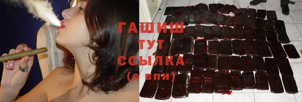 гидра Верхний Тагил