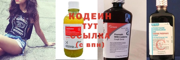 гидра Верхний Тагил