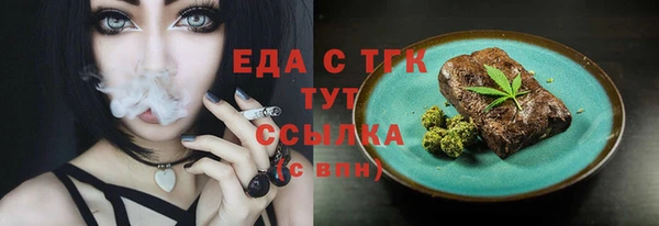 гидра Верхний Тагил