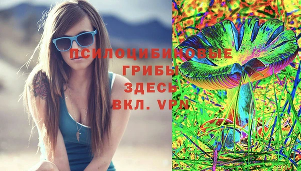 дурь Верея